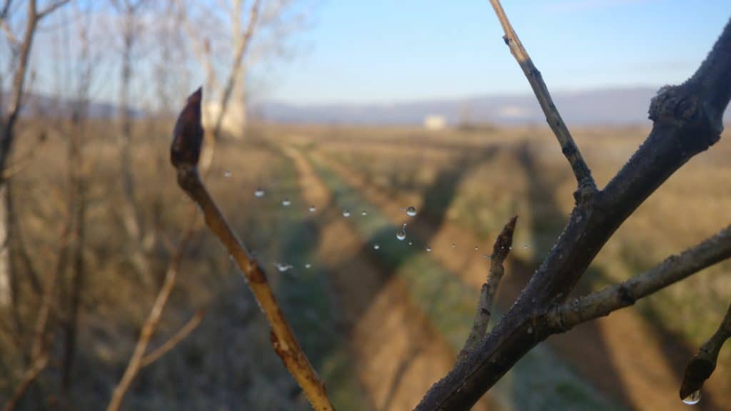 Foto von Künstlerin Clara Morgenthau (intuitives Malen) von ihrem Winterdomizil in Herzegowina mit Chemtrail-Fäden