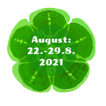 Date choosing Button 22.-29.8 Date choosing Button 22.-29.8